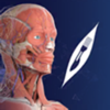 3D Organon - Medis Media Pty Ltd