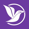 latakoo Flight Mobile icon