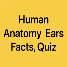 Human Anatomy Ears Facts, Quiz app icon