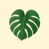 Plant Identifier: Leaffy icon