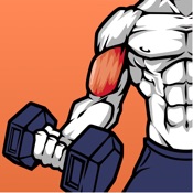 Dumbbell Home Workout for Men