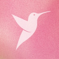 Contacter Adopt Academy