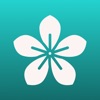 Daily Affirmations - Blissify icon