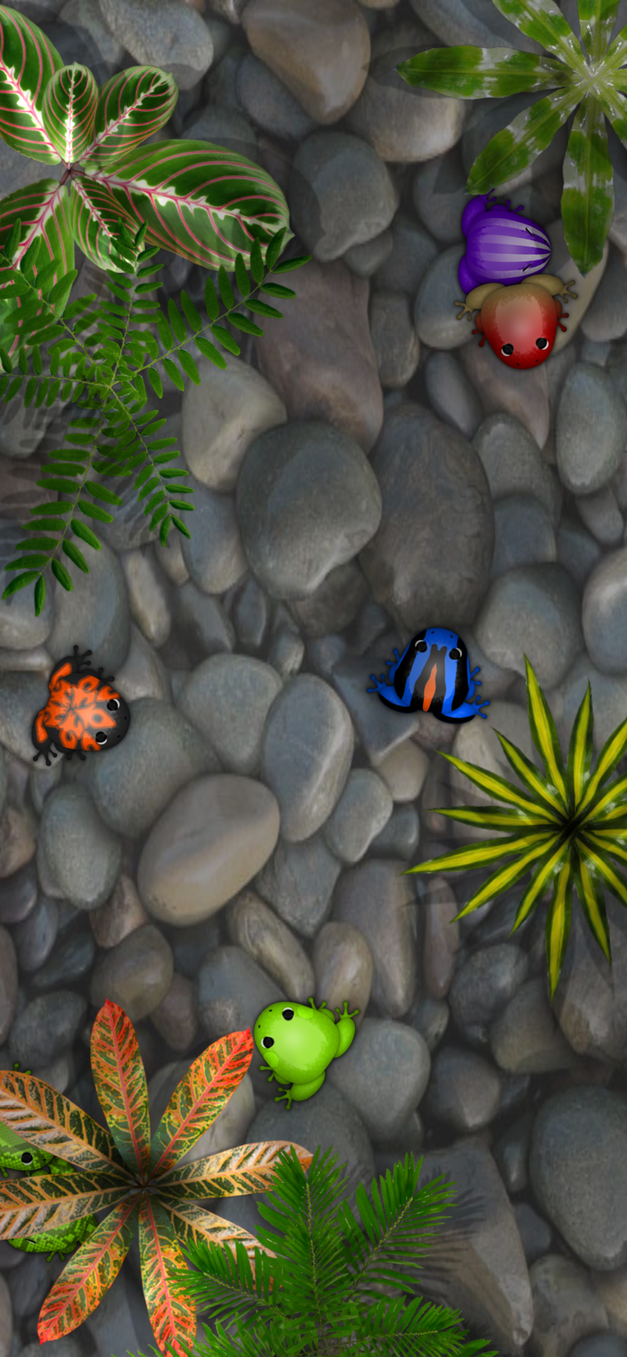 Pocket Frogs: Tiny Pond Keeper