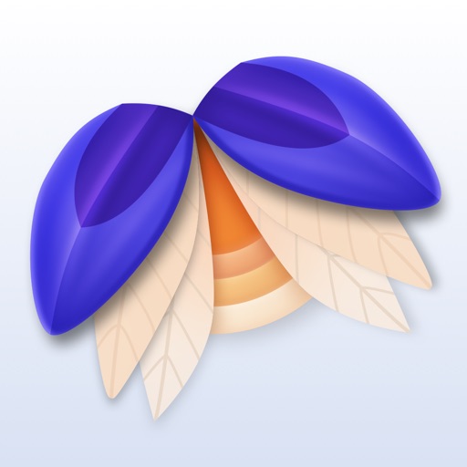 Elytra icon