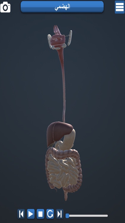 Educational Anatomy 3D