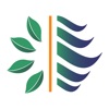 Insight Energy icon