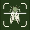 虫検索: 写真から昆虫やクモを識別する, 昆虫図鑑 - iPhoneアプリ