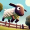 The funny sheep are on the way