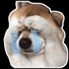 Dog meme sticker icon