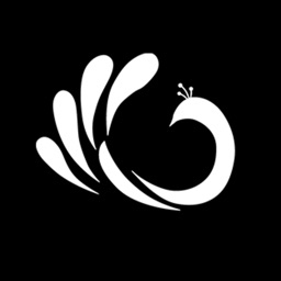 Frizzar - Salões e Equipe