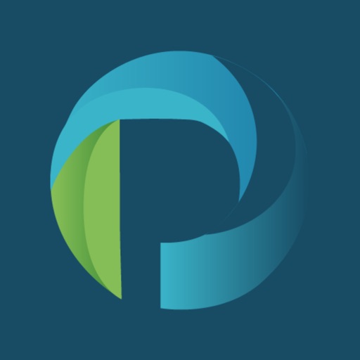 Propag Pay: Conta Digital