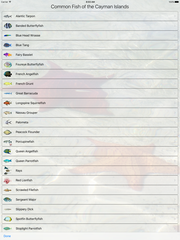 Screenshot #6 pour Cayman Snorkel