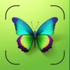 Snap Insect: 写真から昆虫やクモを識別する - iPhoneアプリ