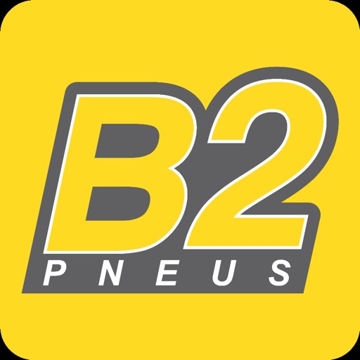 B2 Pneus