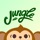 Jungle: AI Flashcards & Quiz