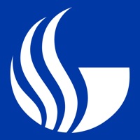 Georgia State Self Checkout logo