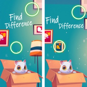 Looks:Find The Difference