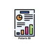 Polaris BI icon