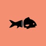 Get FishLLM - Local LLM for iOS, iPhone, iPad Aso Report