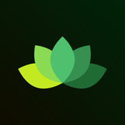 Sesame Voice AI Talk Assistant