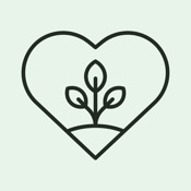 Daily Thanks Gratitude Journal