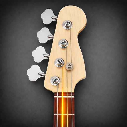 Professeur de guitare basse