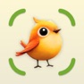 Get Bird Identifier: BirdCam AI for iOS, iPhone, iPad Aso Report