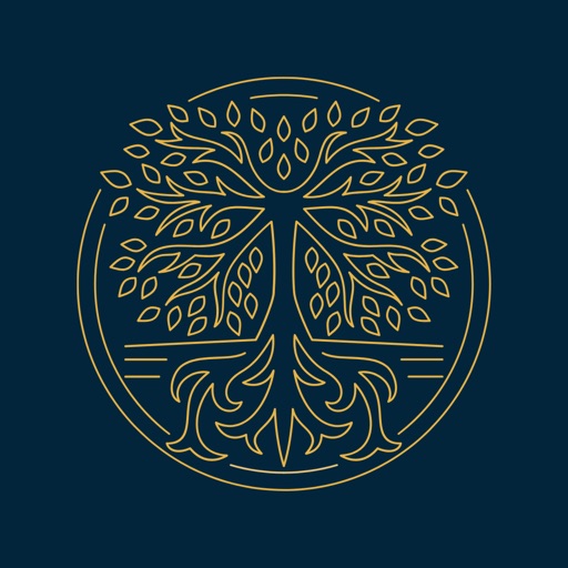 Kabbalah Study: Lumen Arboris