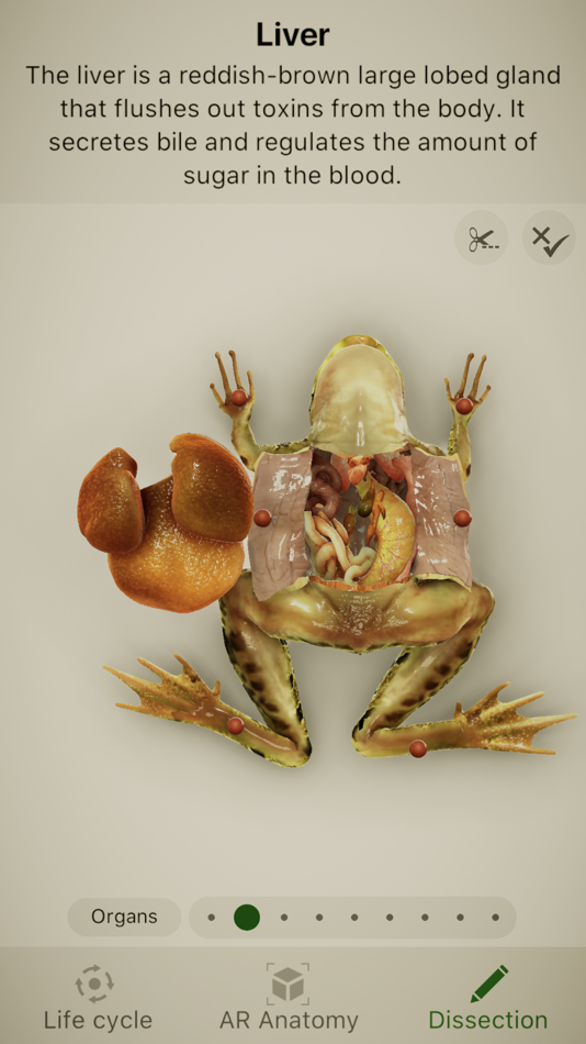 #3. Froggipedia by Embibe (iOS) 由: Indiavidual Learning Limited