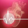 You Heart Rate | Pulse Checker - Cardio For Health