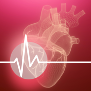 心率检测 - 心脏健康研究 - 血压测量仪