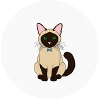 Chavatar
