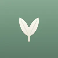 Mindful Jot
