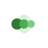 WENBO ZHANG top app icon