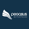 Pegasus3DFootScan - iPhoneアプリ