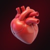 PulseLens: Heart Rate Monitor icon