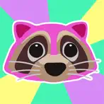 Raccoon Raccoon