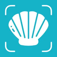 Seashell Identifier – Shellium