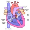 Peds Cardiology Handbook icon
