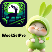 wooksetpro