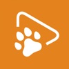 wedog - Trainiere deinen Hund icon