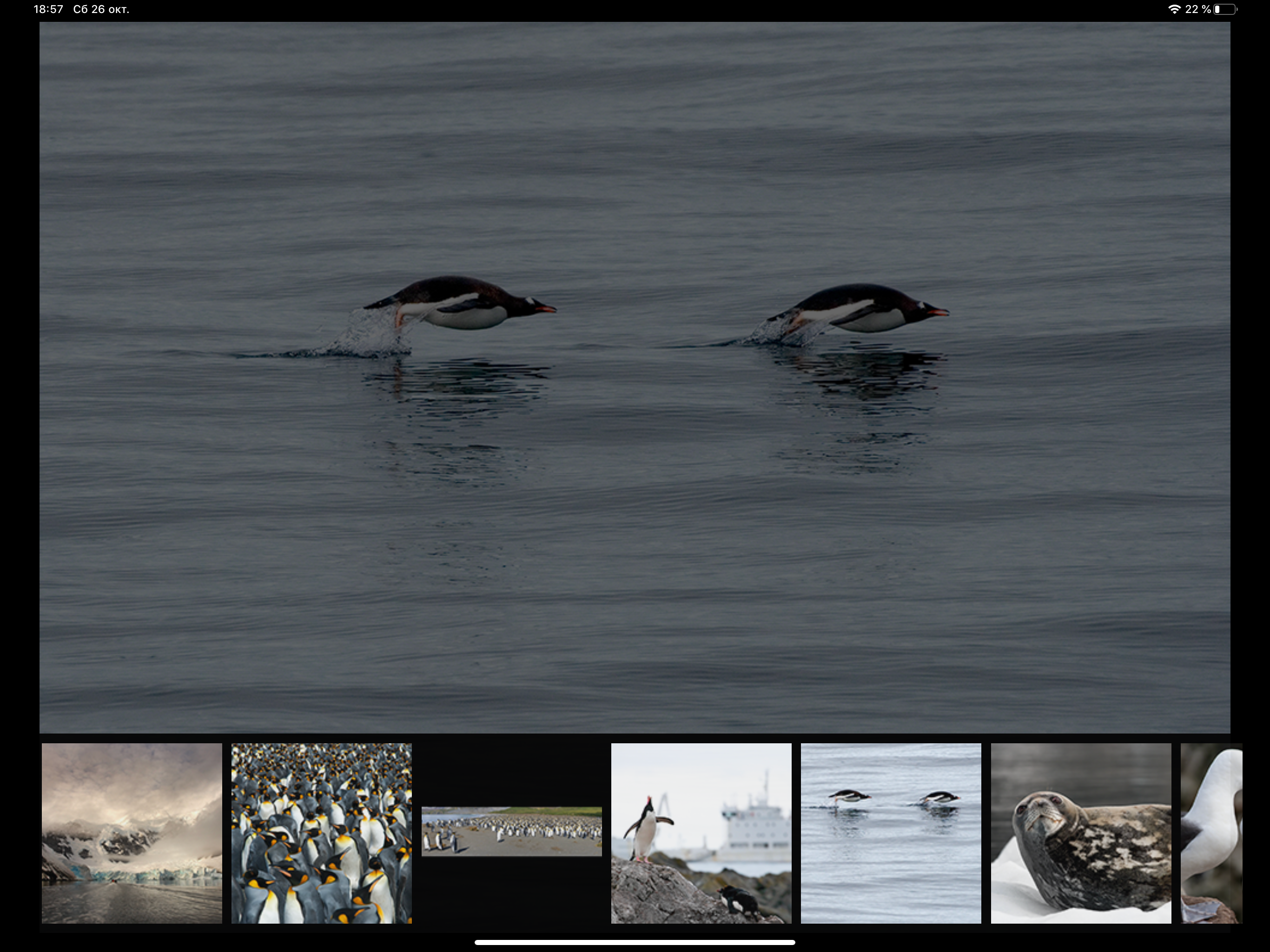 Album Antarctic