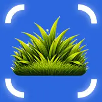 Grass Identifier: Grassly