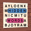 Hidden Words Search icon