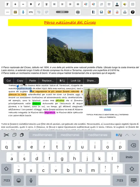 iWord PRO