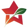 WONDERCHEF icon