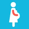 Pregnancy Organizer & Tracker Positive Reviews, comments