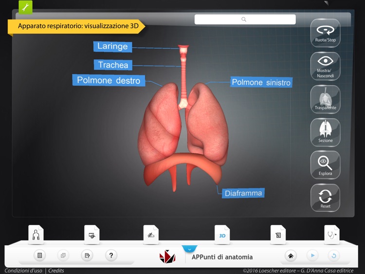 APPunti di anatomia -iPad screenshot-3
