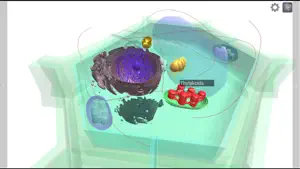 3D Virtual Cell screenshot 4